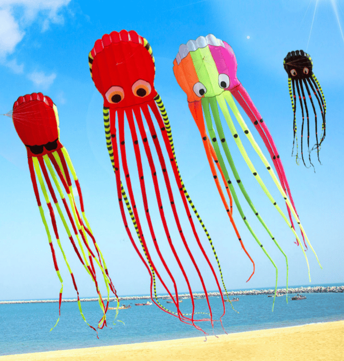 Long Octopus Kite - Outdoor Toy (8-Meter)