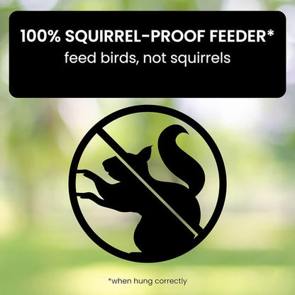 Squirrel Buster Plus Squirrel-proof Bird Feeder