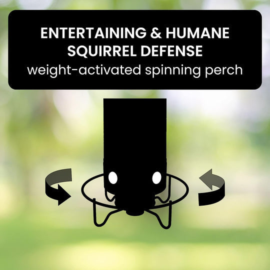 Squirrel Buster Plus Squirrel-proof Bird Feeder