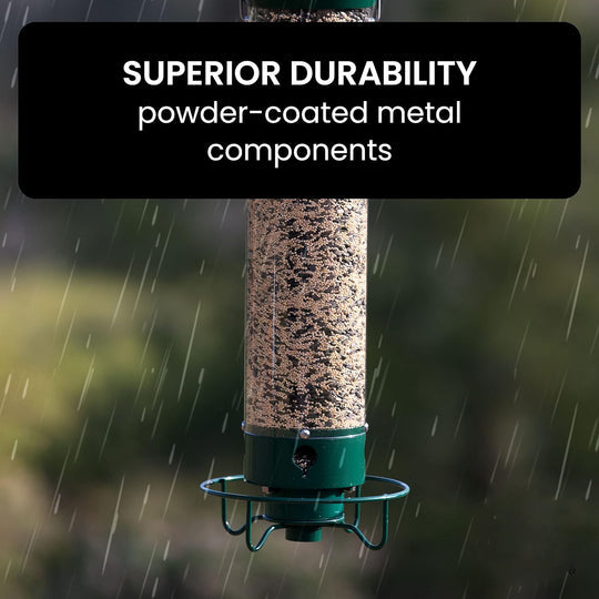 Squirrel Buster Plus Squirrel-proof Bird Feeder