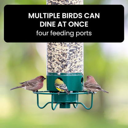 Squirrel Buster Plus Squirrel-proof Bird Feeder