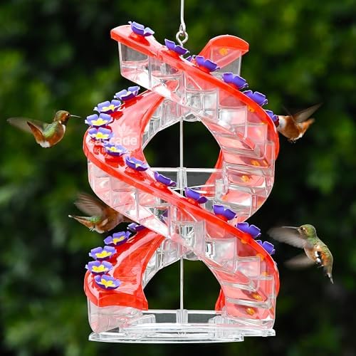 Shirem DNA Helix Hummingbird Feeder