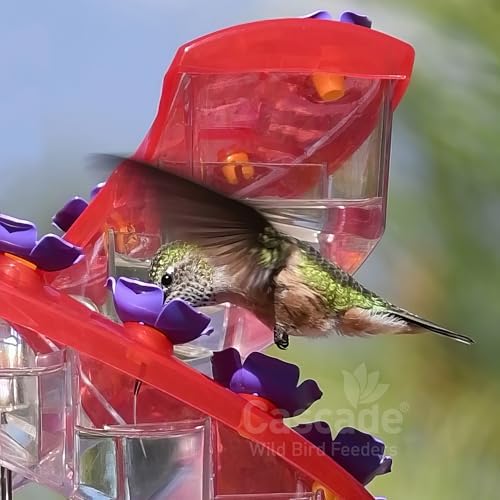 Shirem DNA Helix Hummingbird Feeder