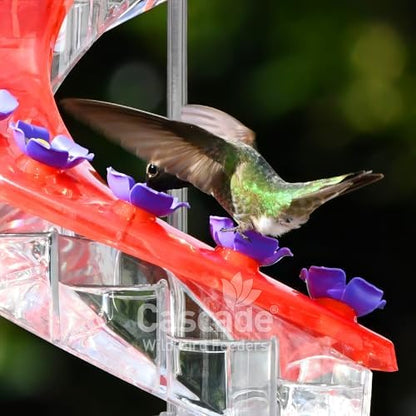 Shirem DNA Helix Hummingbird Feeder