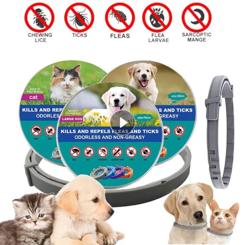 FurLife™ Flea and Tick collar