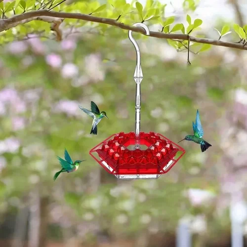 Shirem Sweety Hummingbird Feeder