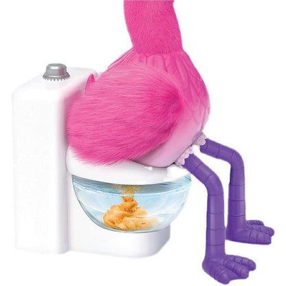 Gotta Go Flamingo Magic Feed Toy - He Repeats What You say Also! You Won't be able to Stop Laughing & Singing Along