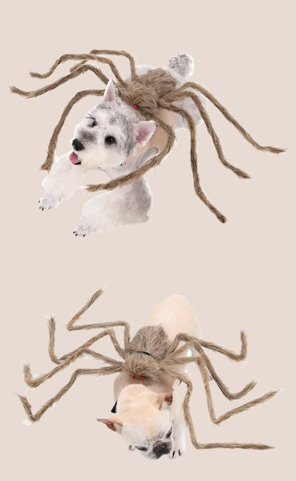 Halloween Pet Clothes - Big Spider Costumes for Dogs and Cats, Spooky Pet Halloween Costumes.