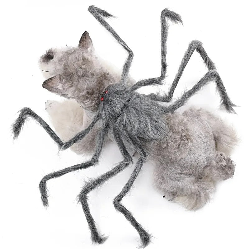 Halloween Pet Clothes - Big Spider Costumes for Dogs and Cats, Spooky Pet Halloween Costumes.