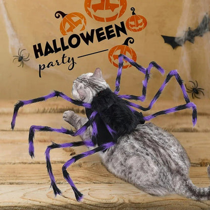 Halloween Pet Clothes - Big Spider Costumes for Dogs and Cats, Spooky Pet Halloween Costumes.