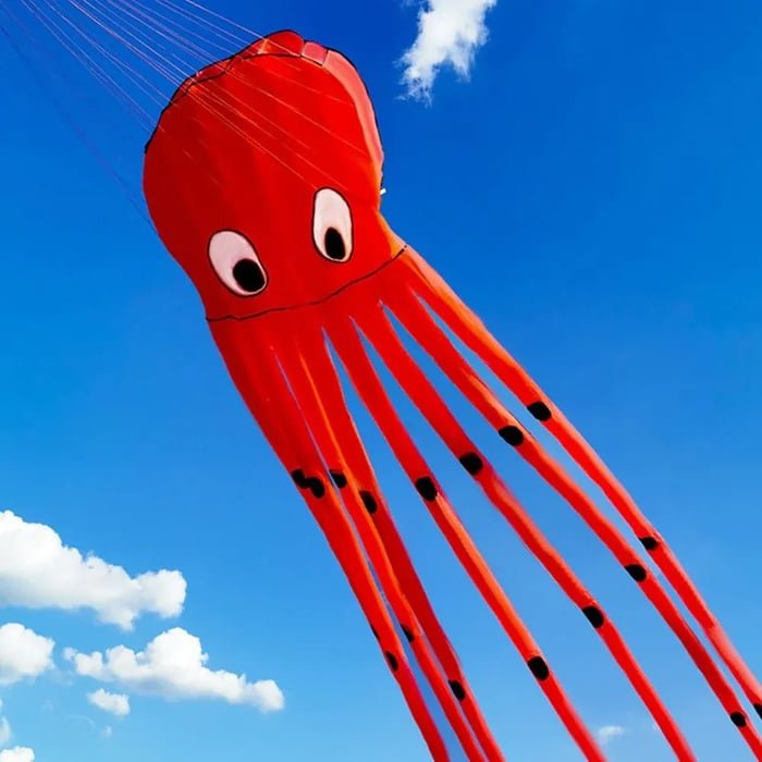 Long Octopus Kite - Outdoor Toy (8-Meter)