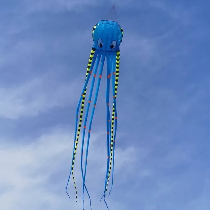 Long Octopus Kite - Outdoor Toy (8-Meter)