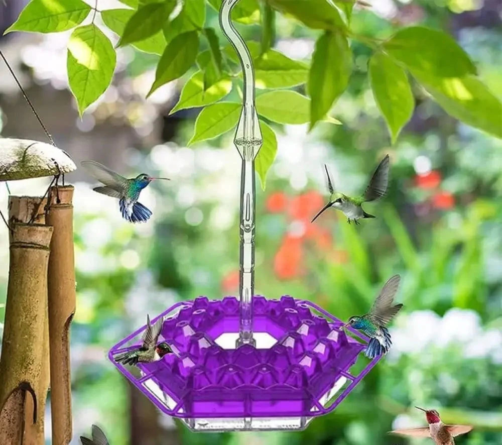 Mary's Hummingbird Feeder With Perch And Built-In Ant Moat