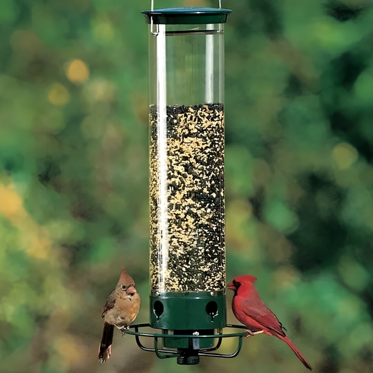 Squirrel Buster Plus Squirrel-proof Bird Feeder