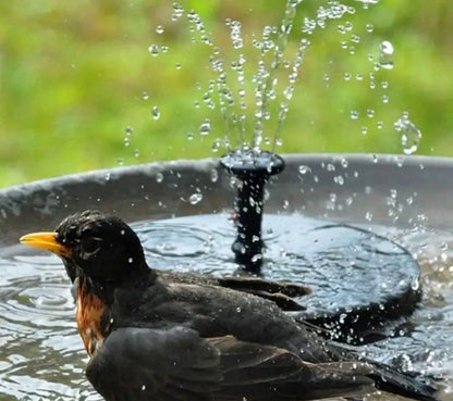 Solar Powered Water Fountain