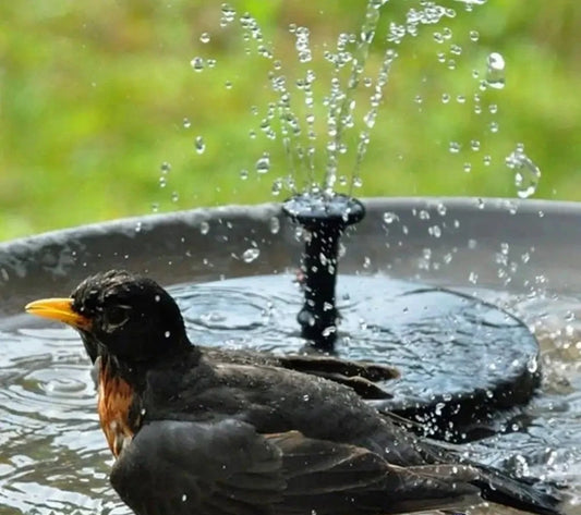 Solar Powered Water Fountain