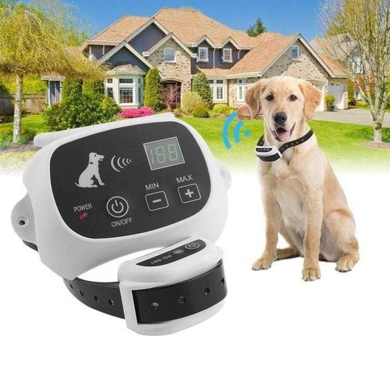 Wireless Dog Fence Collar System